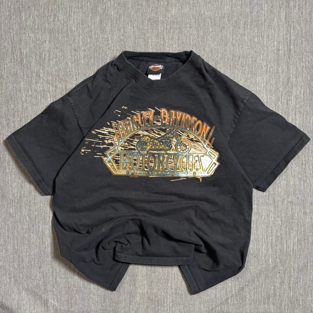 Vintage 2008 Harley Davidson Plattsburgh New York Black Tee - L